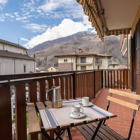 L'abete -
